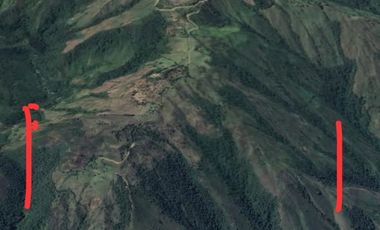 Finca Productora Abejorral