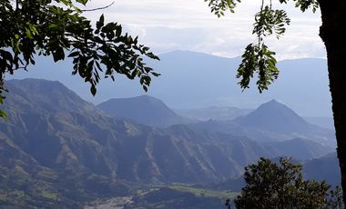 Finca Productora Abejorral