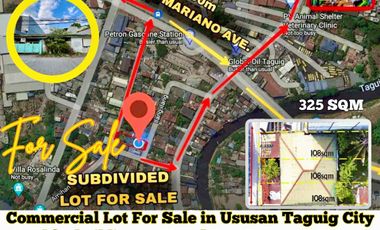 Lot with Old House For Sale in Taguig City near Vista Mall Taguig, Puregold Taguig, Mckinley, BGC