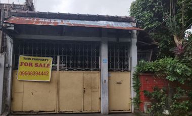 Property House and lot with 400 sqm For Sale in Teachers Village Quezon City PH2649