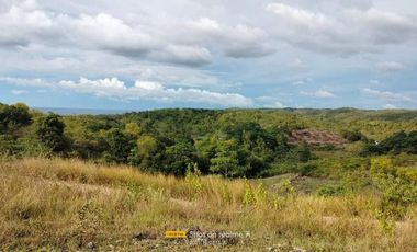 Straight Monthly Payment Farmlot for Sale in Tabuelan, Cebu