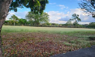 Vacant Lot Property For Sale in Manila Southwoods near Southwoods Exit 12.5 KM to Alabang