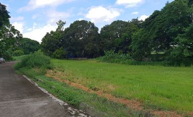 FAIRWAY LOT FOR SALE AT THE ORCHARD GOLF CAVITE
