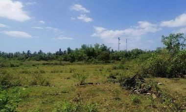 Residential Lot for SALE  in Camotes Island