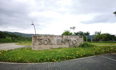 Soliento by Ayala Land Premier - 769 sqm., Nuvali Laguna