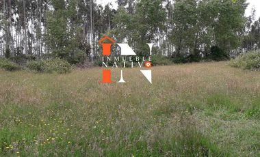 SE VENDEN PARCELAS EN MALTILHUE OSORNO CHILE