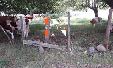 SE VENDEN PARCELAS EN MALTILHUE OSORNO CHILE