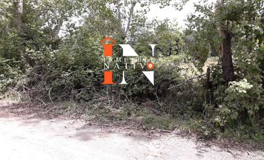 SE VENDEN PARCELAS EN MALTILHUE OSORNO CHILE