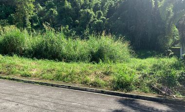 Lot Only For Sale in Sunvalley Estate