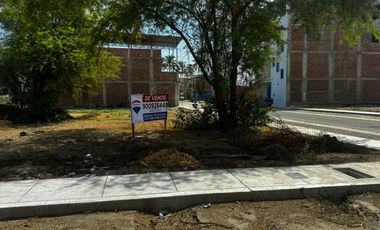 En Venta Terreno En Las Palmeras De Centenario-Jrivera