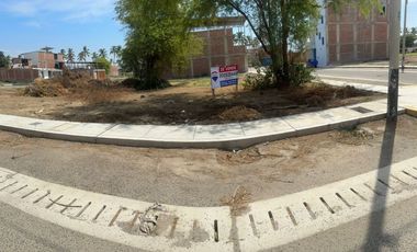 En Venta Terreno En Las Palmeras De Centenario-Jrivera