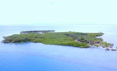 2.89-hectare Island for sale in Negros Occidental