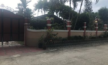 DUMAGUETE HOUSE AND LOT FOR SALE ID 14760