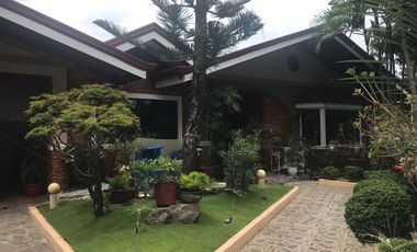 DUMAGUETE HOUSE AND LOT FOR SALE ID 14760