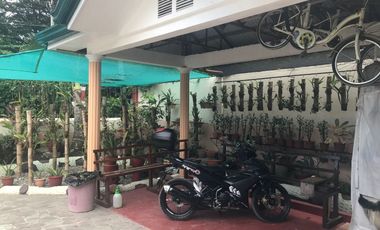 DUMAGUETE HOUSE AND LOT FOR SALE ID 14760