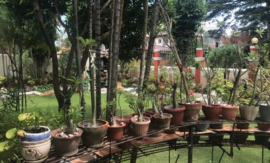 DUMAGUETE HOUSE AND LOT FOR SALE ID 14760