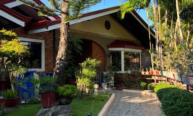 DUMAGUETE HOUSE AND LOT FOR SALE ID 14760