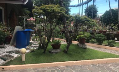 DUMAGUETE HOUSE AND LOT FOR SALE ID 14760