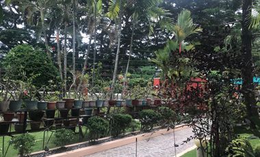 DUMAGUETE HOUSE AND LOT FOR SALE ID 14760