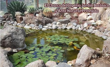 Departamento con jardín, y jacuzzi privado, roof garden, venta, la Lejona, San Miguel de Allende