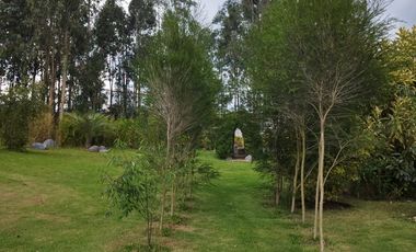 HOSTERIA en venta, 10.000m2 de terreno y 968m2 construidos, piscina, 20 parqueos