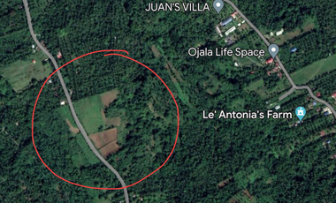 ADG - FOR SALE: 3 Adjoining Lots in Alfonso, Cavite