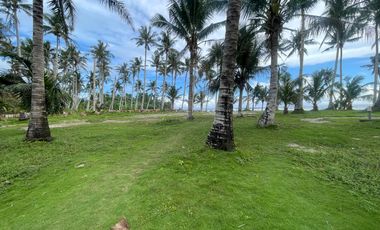 Siargao Beachfront Property For Sale