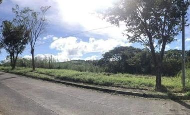 Land for sale in Inarawan, Rizal
