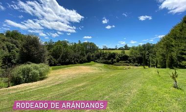 Parcelas en venta en Río Negro dentro de un Campo de Arándanos