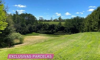 Parcelas en venta en Río Negro dentro de un Campo de Arándanos