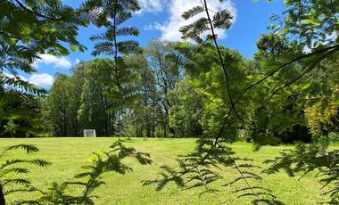 Parcelas en venta en Río Negro dentro de un Campo de Arándanos