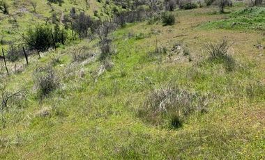 Vendo Terreno En Sector Colin, Comuna Maule V 1400-85-LR-07.22