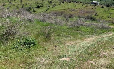 Vendo Terreno En Sector Colin, Comuna Maule V 1400-85-LR-07.22