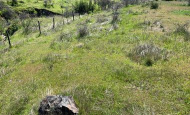 Vendo Terreno En Sector Colin, Comuna Maule V 1400-85-LR-07.22