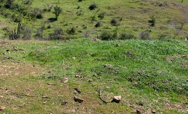 Vendo Terreno En Sector Colin, Comuna Maule V 1400-85-LR-07.22