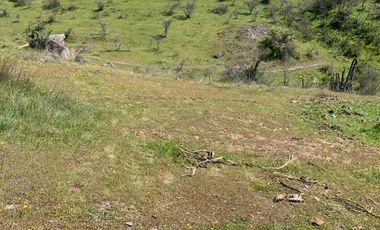 Vendo Terreno En Sector Colin, Comuna Maule V 1400-85-LR-07.22