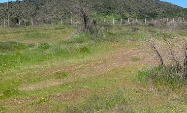 Vendo Terreno En Sector Colin, Comuna Maule V 1400-85-LR-07.22
