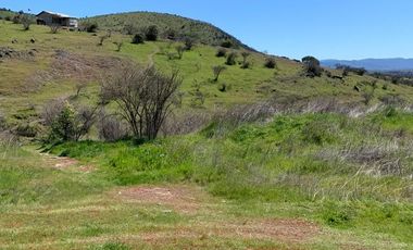 Vendo Terreno En Sector Colin, Comuna Maule V 1400-85-LR-07.22