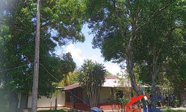 Finca en Venta en Paz de Ariporo Casanare