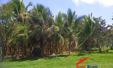 Finca en Venta en Paz de Ariporo Casanare