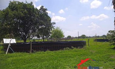 Finca en Venta en Paz de Ariporo Casanare