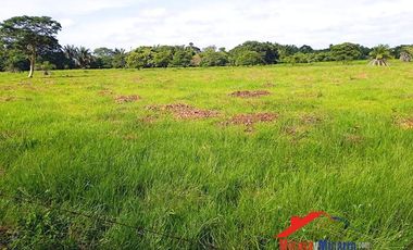 Finca en Venta en Paz de Ariporo Casanare