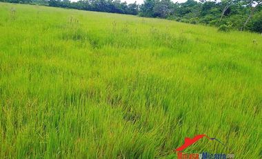 Finca en Venta en Paz de Ariporo Casanare