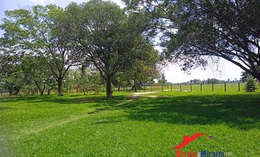 Finca en Venta en Paz de Ariporo Casanare