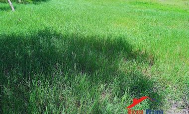 Finca en Venta en Paz de Ariporo Casanare