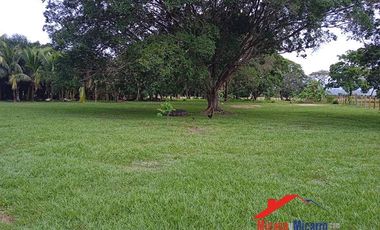Finca en Venta en Paz de Ariporo Casanare