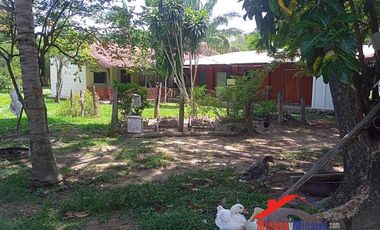 Finca en Venta en Paz de Ariporo Casanare