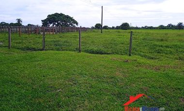 Finca en Venta en Paz de Ariporo Casanare