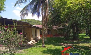 Finca en Venta en Paz de Ariporo Casanare