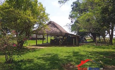Finca en Venta en Paz de Ariporo Casanare